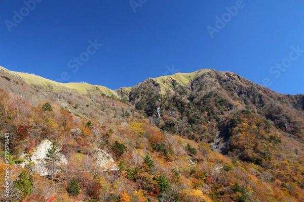 Obraz 剣山系、次郎岌の秋
