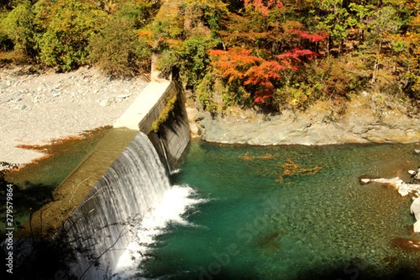Obraz 剣山スーパー林道の紅葉