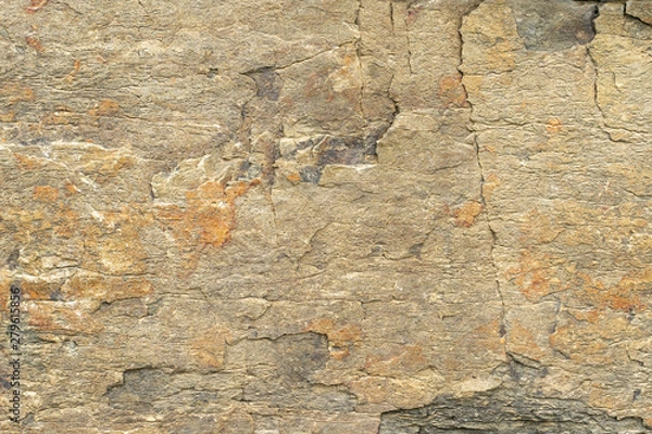 Fototapeta Natural background. Texture of beige sandstone with corrosion pattern