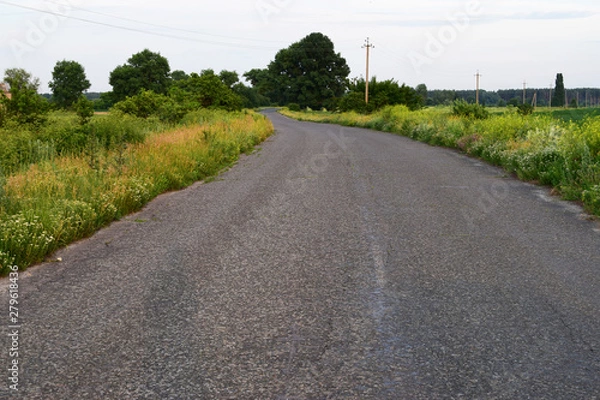 Obraz road in the countryside