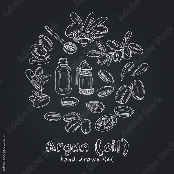Fototapeta Vector set on Argan, its fruits and its application. Argan oil hand drawn doodle set. Vector illustration. Isolated elements. Symbol collection.