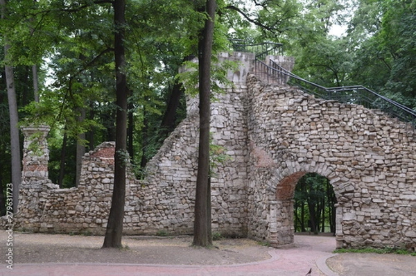 Obraz old alley in the park