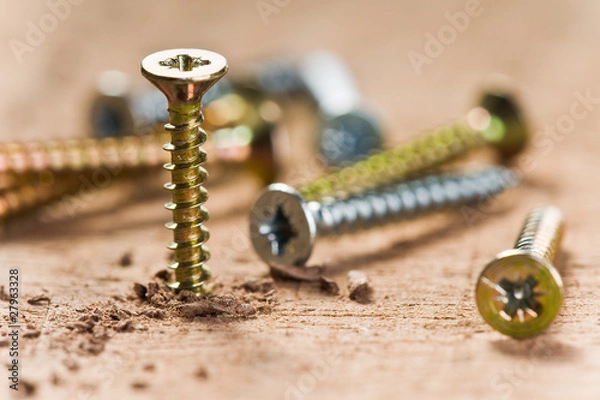 Obraz Schraube und Holz