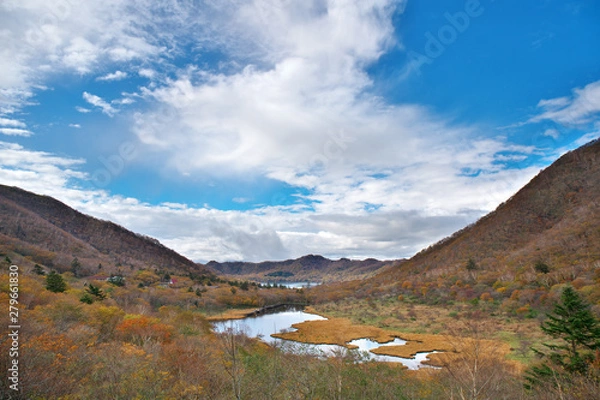 Fototapeta 湿地帯