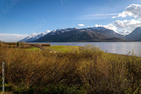 Fototapeta Grand Teton range