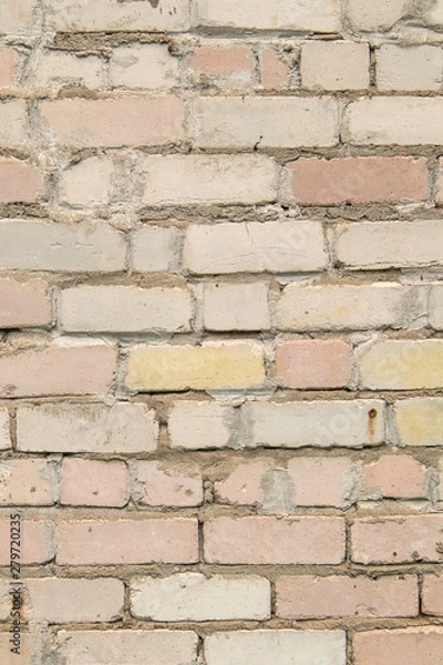 Fototapeta textured, expressive wall of light-colored bricks