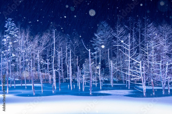 Obraz 冬の美瑛町 青い池ライトアップ