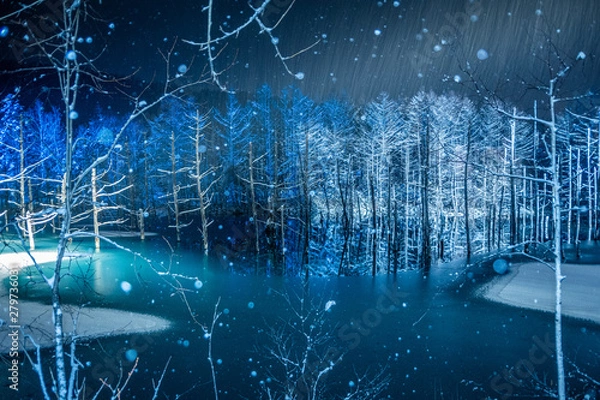 Obraz 青い池ライトアップ