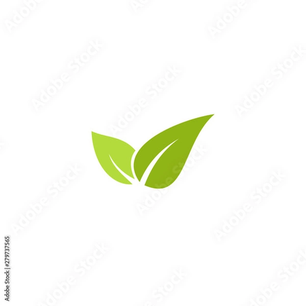 Obraz green leaf eco vector logo
