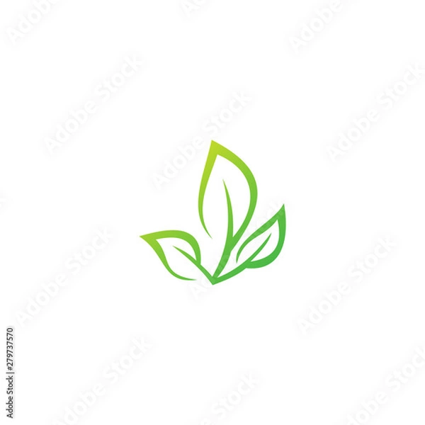 Obraz green leaf tree ecology logo