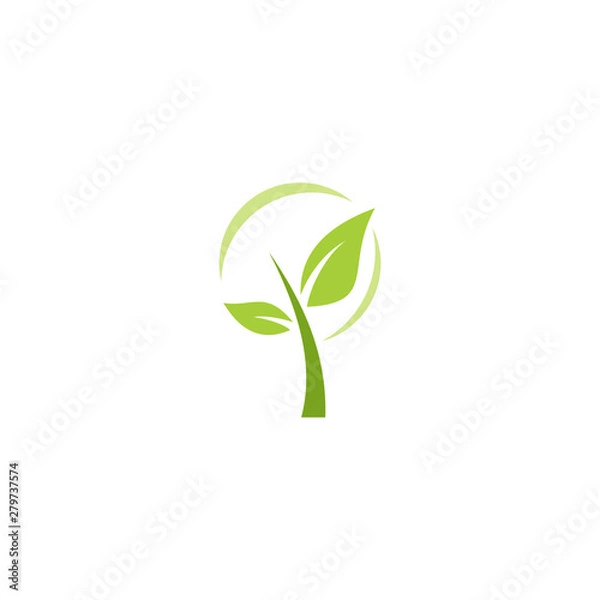 Obraz green leaf tree vector design logo