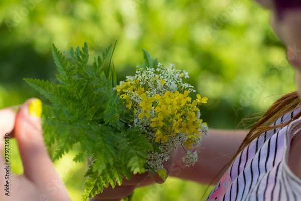 Obraz a small bouquet of modest wildflowers in a woman's hand