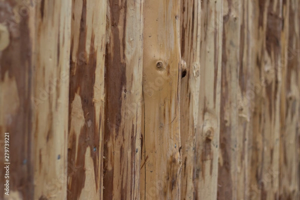 Obraz log fence, new, unpainted, natural wood