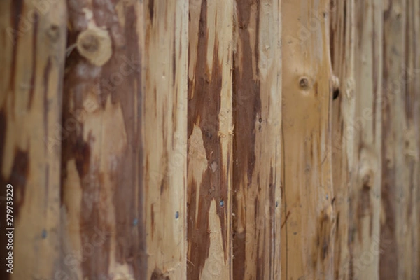 Obraz log fence, new, unpainted, natural wood