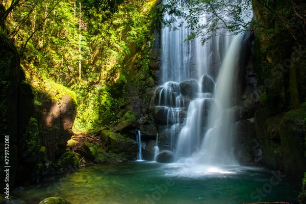 Obraz 日差しが当たる森と清らかな滝の水
