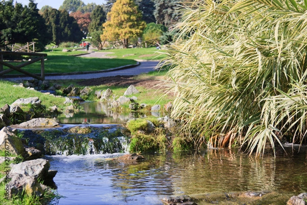 Obraz GIARDINO BOTANICO IN AUTUNNO, TORINO
