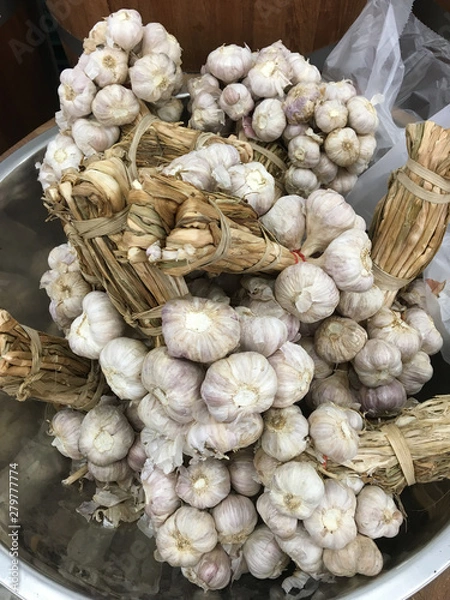 Fototapeta garlic