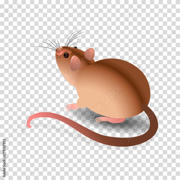Obraz Cute brown mouse on a transparent background.
