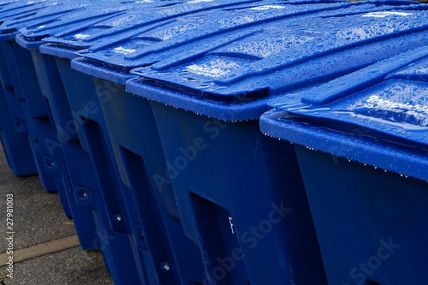 Obraz Wet Recyling Bins