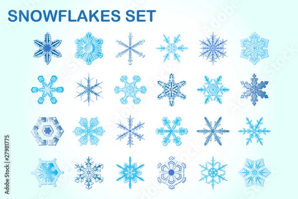Obraz Snowflakes set
