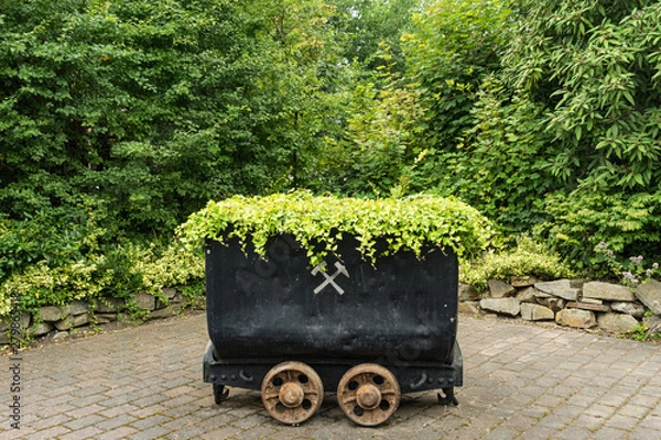 Obraz Alte Grubenlohre