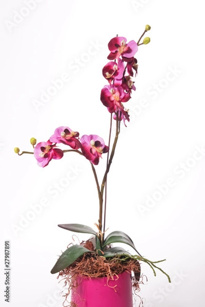 Obraz Artificial Orchid