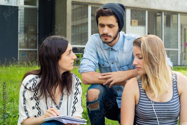 Fototapeta Group of  Group  of students relaxing in School Campus.