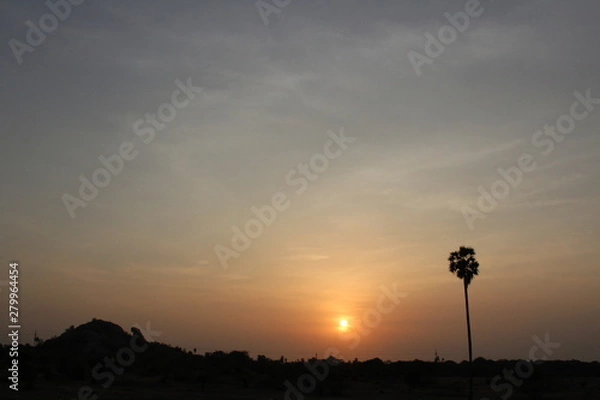 Obraz Indian sunset with tree evening