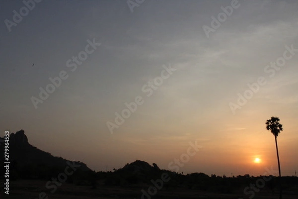 Obraz Indian sunset with tree evening