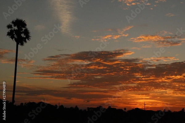 Obraz Indian sunset with tree evening