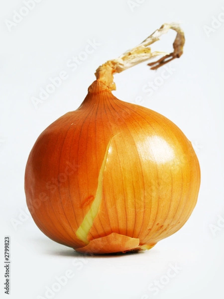 Fototapeta onion on the white