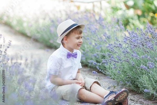 Fototapeta A little boy of 5 years old walks in a flowered park. Lavender. Spring. Portrait of a boy in a hat with a bow tie.