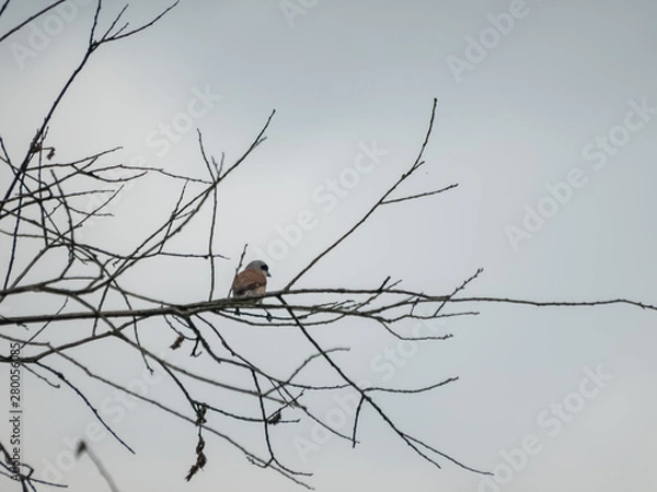 Obraz OLYMPUS DIGITAL CAMERA