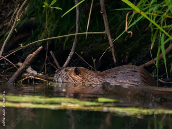 Obraz OLYMPUS DIGITAL CAMERA