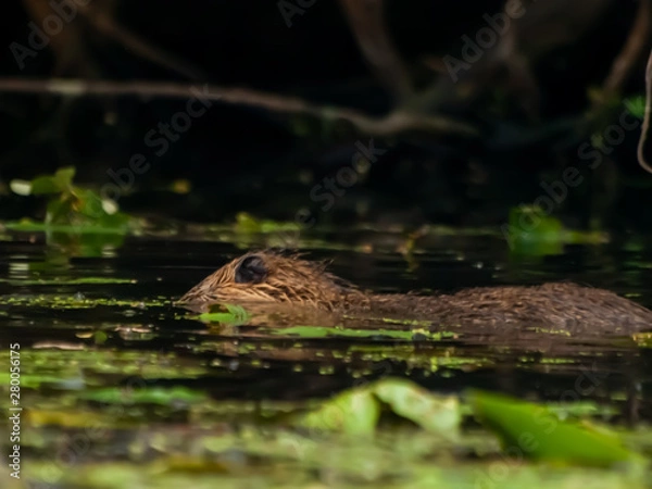 Obraz OLYMPUS DIGITAL CAMERA