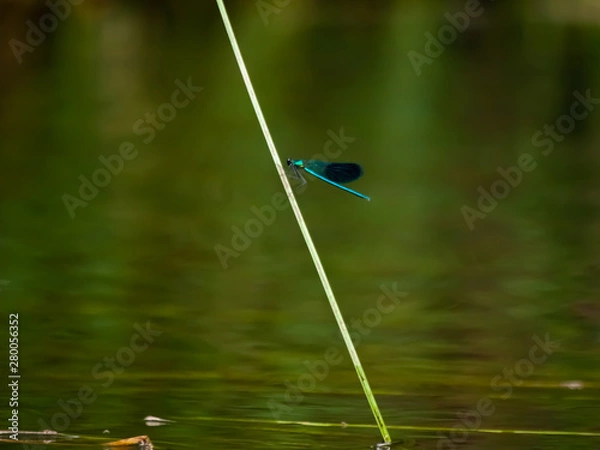 Obraz OLYMPUS DIGITAL CAMERA