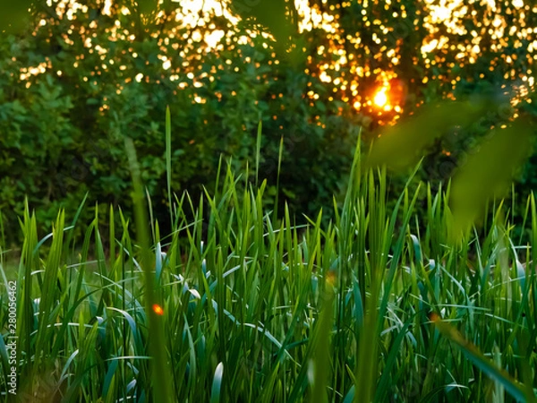 Obraz OLYMPUS DIGITAL CAMERA