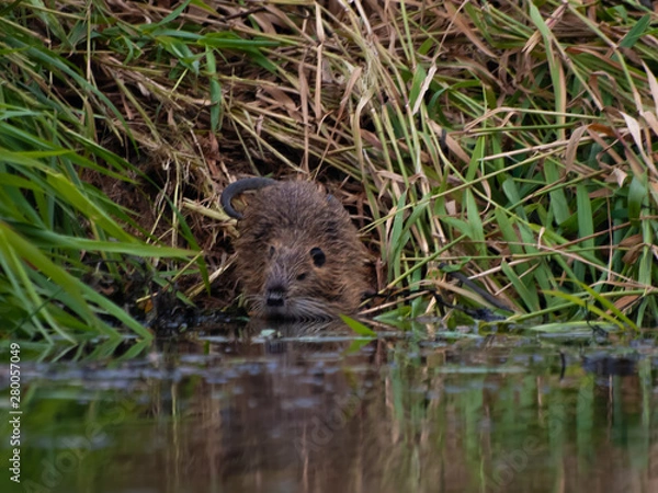 Obraz OLYMPUS DIGITAL CAMERA
