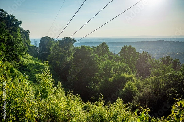 Obraz Power lines through the woods