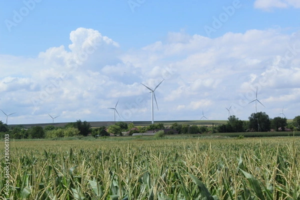 Fototapeta windmill in the field