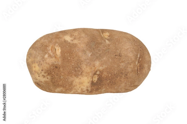 Obraz Potatoe