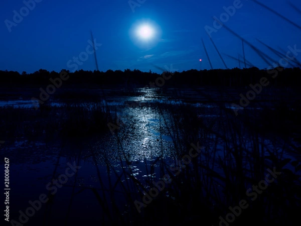 Obraz Moon rising over a swamp