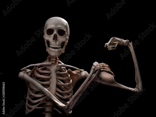 Fototapeta funny muscle skeleton after workout