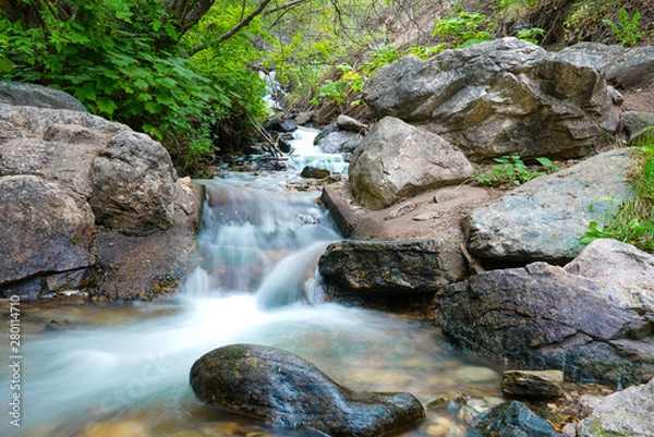 Obraz Stream along Waterfall Canyon Trail near Ogden, Utah during summer time