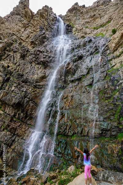 Obraz Closeup of Waterfall Canyon near Ogden, Utah during summer time