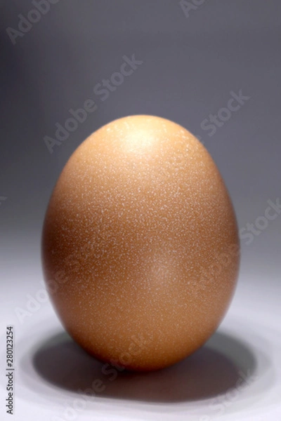 Obraz egg isolated on white background
