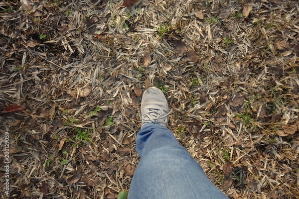 Obraz 一歩踏み出す