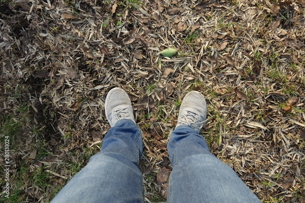 Obraz 落ち葉の上に立つ