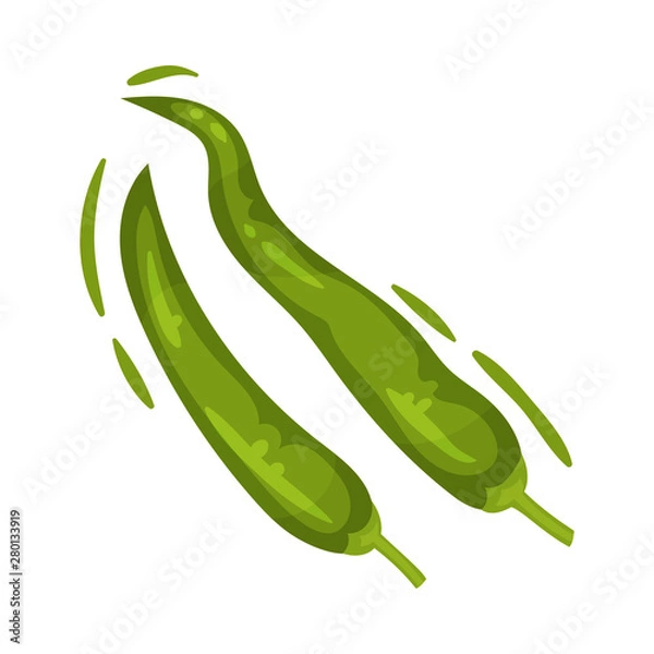 Fototapeta Two pods of hot pepper. Vector illustration on white background.