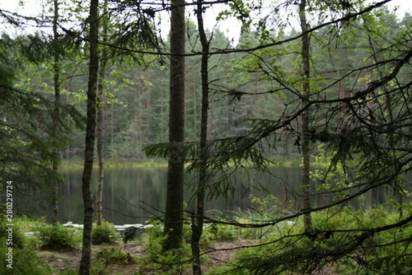 Obraz ヨーロッパ、初夏、夏、森、おもちゃ、海